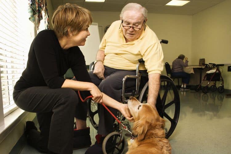 persona mayor tocando un perro